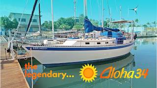 Affordable Bluewater Cruiser? | 1981 Aloha 34 Full Walkthrough