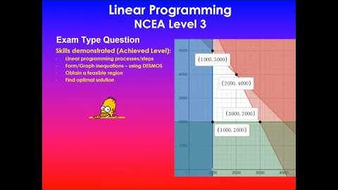 Exam Type Question | Linear Programming | NCEA Level 3 Mathematics | Part 1 of 2