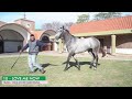 10- LOVE ME NOW (Touareg - Stolen Love por Fusaichi Pegasus)