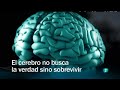 Documentales interesantesel mejor documental 2023 el poder del cerebro