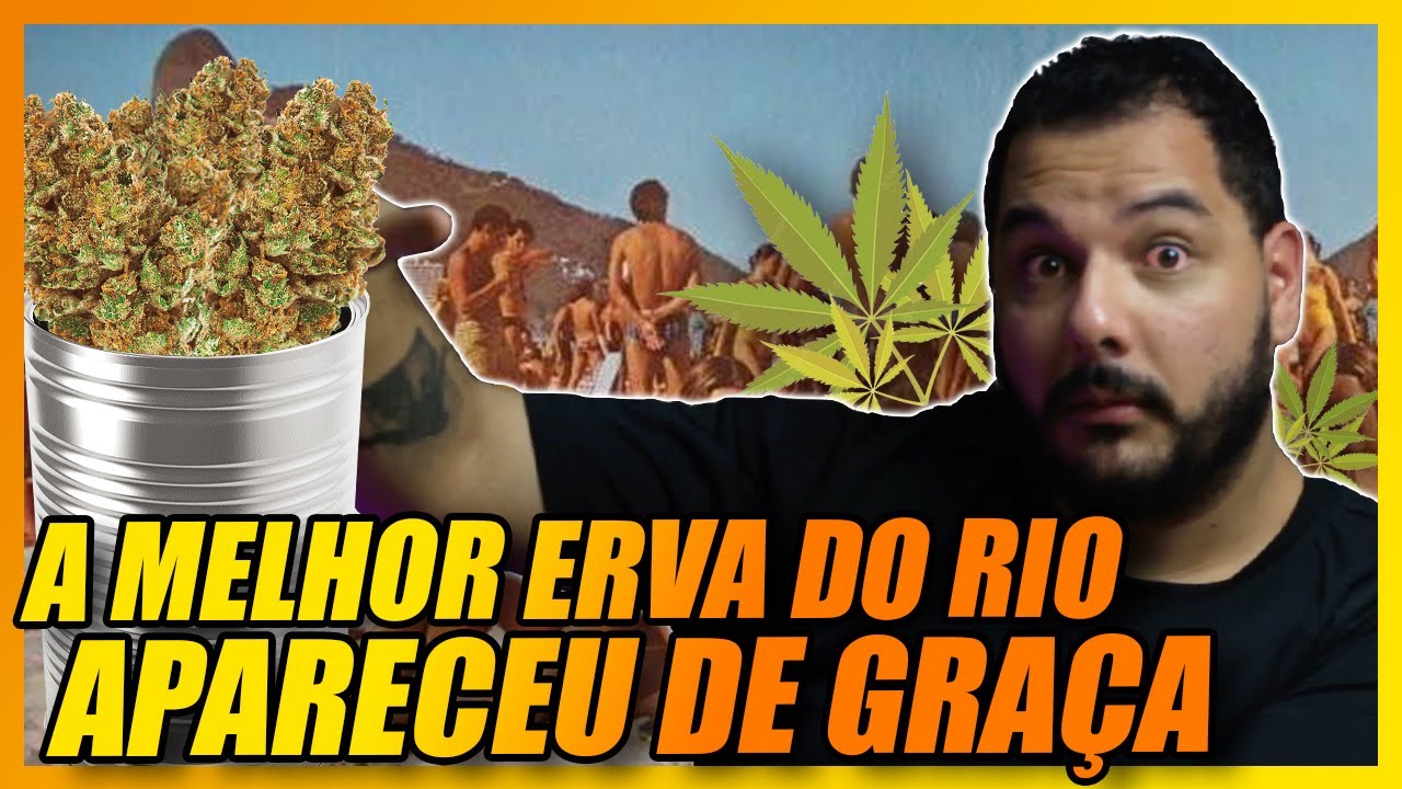 A HISTÓRIA DO VERÃO DA LATA: A MELHOR MACONHA DO RIO DE JANEIRO #historia #riodejaneiro