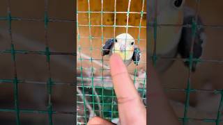 #cute  #petlover #everyone