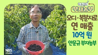 [역전의부자농부 252회] 오디·복분자로 연 매출 10억 원! 전북 고창 안문규 부자농부