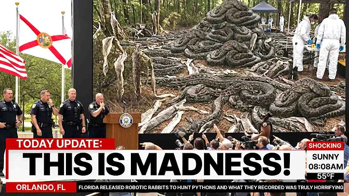 Florida Released Robotic Rabbits to Hunt Pythons and What They Recorded Was Truly Horrifying