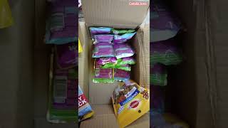 Cat Dog Food Pedigree Whiskas Orange Cat