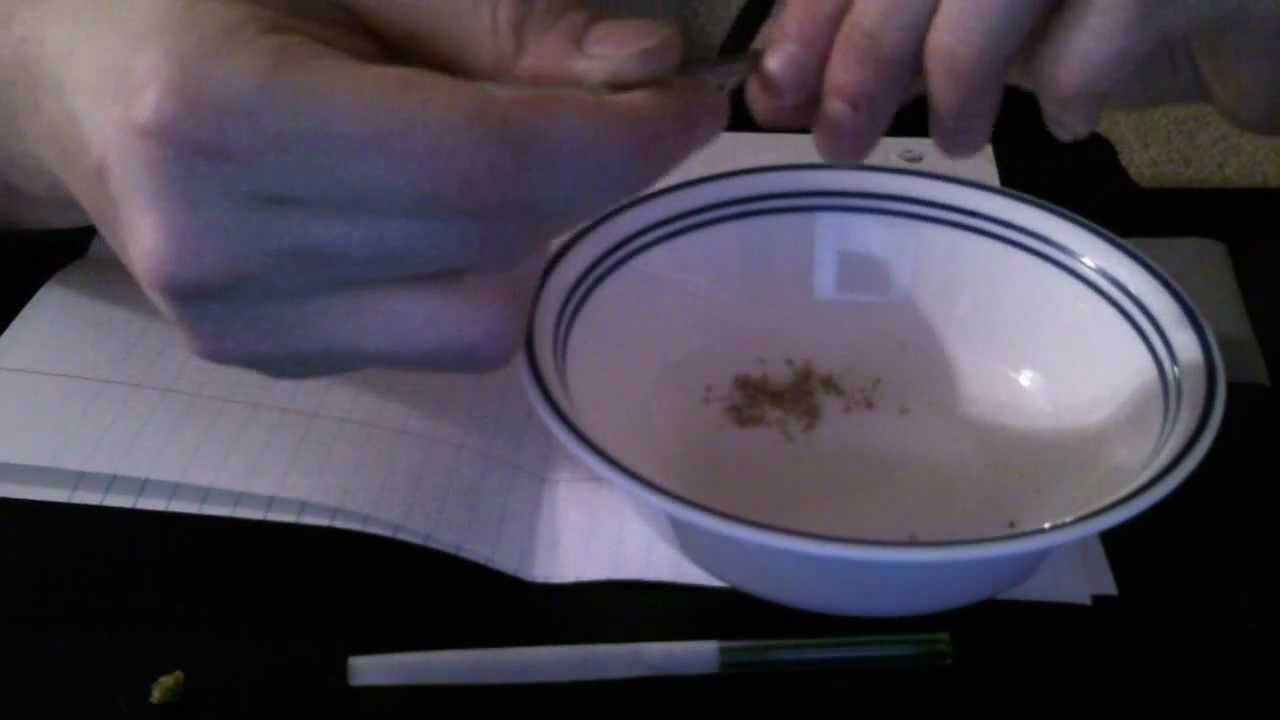 JTree Episode #1 - Rolling a Hash Cone with a Glass Stem Holder