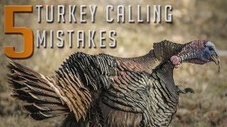 TURKEY HUNTING TIPS! | 5 Turkey Calling Mistakes You Need to Avoid!!
