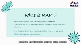 The target of Microtubule-Associated Protein Tau MAPT