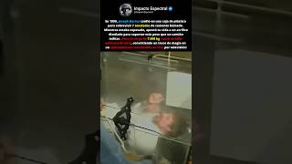 ¡7 Toneladas de Cemento Aplastaron al Ilusionista en Vivo! El Error Mortal