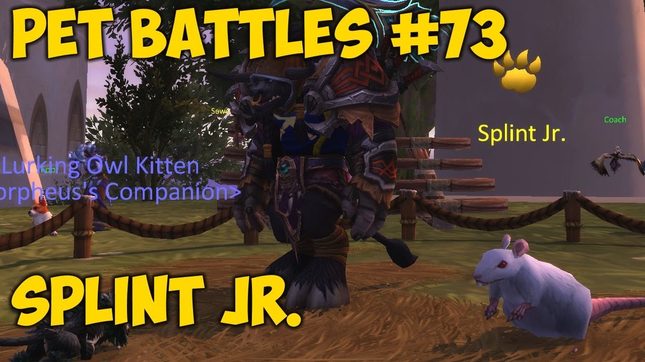Pet Battles 73 Splint Jr. YouTube