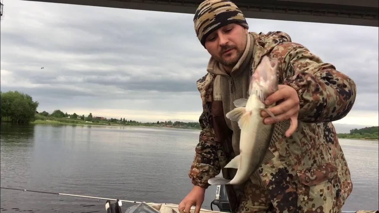 На что ловить на реке волхов