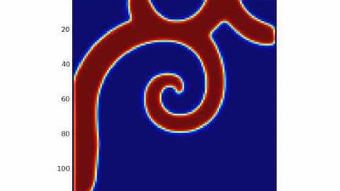 Spiral wave in Barkley model