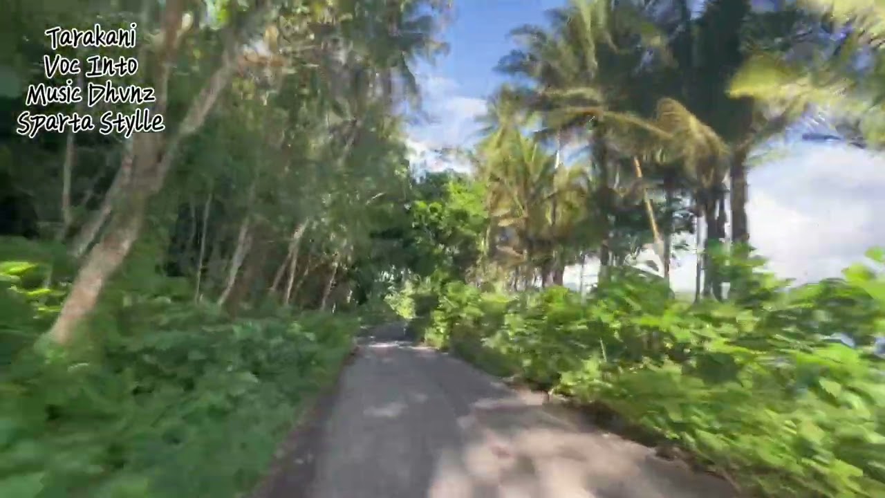Tarakani~Voc Into~Music Dhvnz~by Sparta Stylle 2025