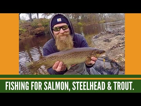 Fishing for Steelhead, Salmon & Trout / Trout Fishing in Michigan