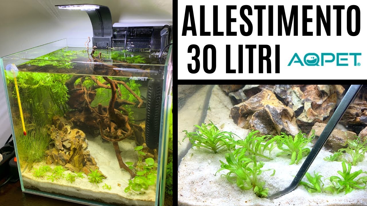ALLESTIMENTO ACQUARIO DA 30 LITRI 💦 AQPET 🐠
