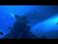 海生館直播影片