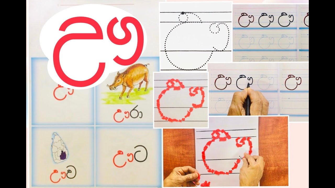 1 ශ්රේණිය මව්බස