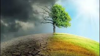 Succession after Disasters || Mrs. Biology