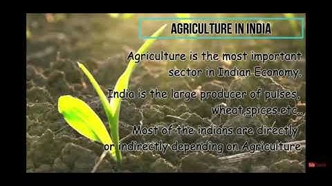 Agriculture presentation