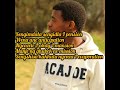 5 year plan (cover) lyrics [Original by A-Reece & Words]