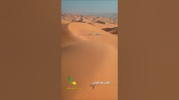 تلاوة خاشعة وهادئة مختارة من سورة آل عمران || قُلۡ إِن كُنتُمۡ تُحِبُّونَ ٱللَّهَ فَٱتَّبِعُونِي