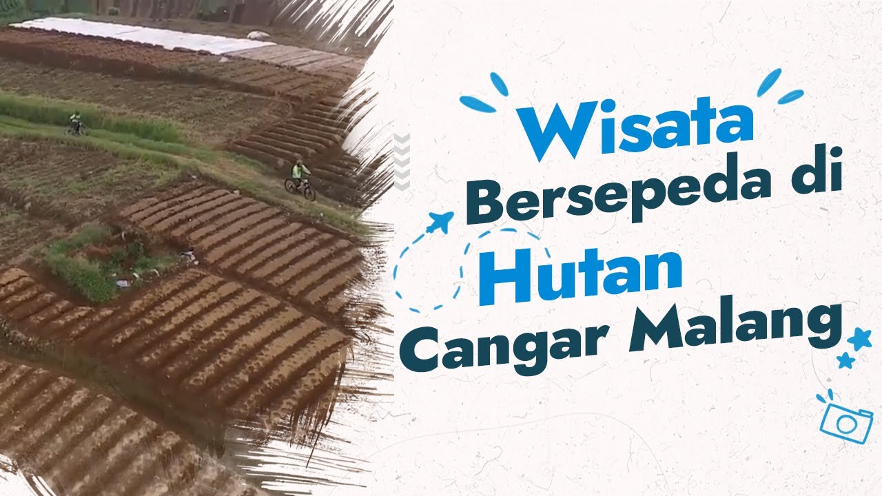 Trek Sepeda Cangar - Wisata Bersepeda di Hutan Cangar Malang | Amazing Malang TV