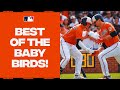 The Baby Birds are flyin&#39; high into October!