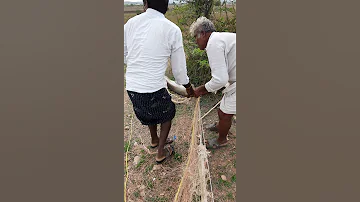 Villagers Saving A Wild Rabbit From The Nets Rabbit Forest Trending Ytshorts 