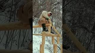 "Building a Bushcraft House with Containers! 🏠WildernessLife"*Tags:*#BushcraftHouse