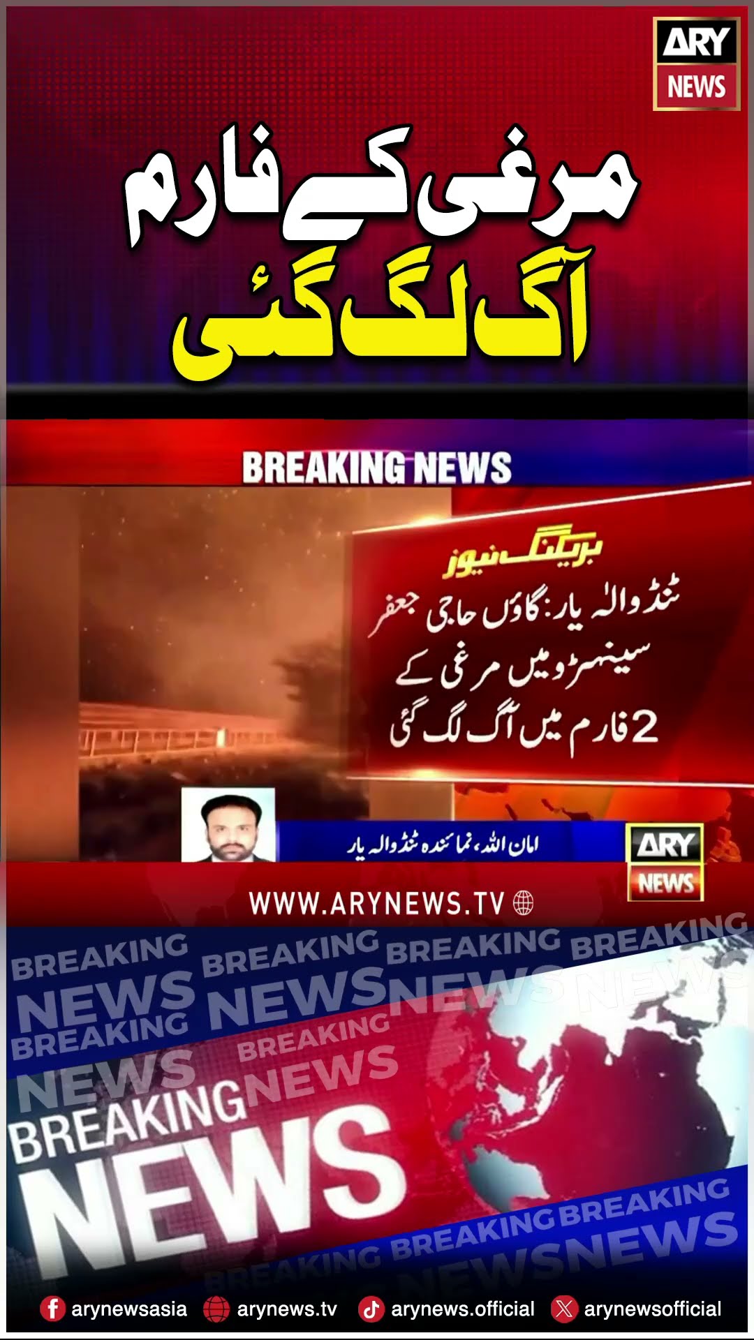 #TandoAdam #chicken #sindh #breakingnews