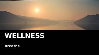 Stress Relief Ambience 🧘 | Unwind & Let Go | Insomnia Music Lab