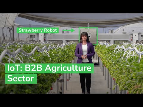 IoT: Powering the Digital Economy - The B2B Agriculture Sector | Schneider Electric