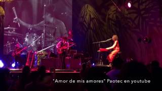 "Amor de mis amores" en vivo Natalia Lafourcade Lima Perú 2017