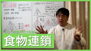 中3生物 食物連鎖 Youtube 中3生物 食物連鎖 Youtube