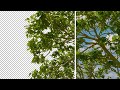 REMOVE BACKGROUND From Any Photo - EASY TRICK !! 😱 #shorts