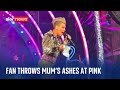 Singer pink left speechless as fan throws her mothers ashes on stage during hyde park show