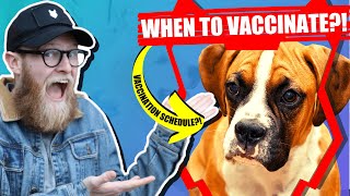 When Should My BOXER Get Their Vaccination by Fenrir Boxer Show 589 views 3 years ago 5 minutes, 51 seconds