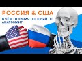 ОТЛИЧИЯ пособий по анатомии РФ и США. Привес и Kaplan