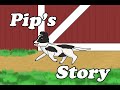 The Life of Pip