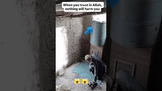 Always Trust In Allah ❤️🫀#viral #shorts
