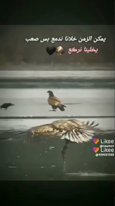 ٣٠ نوفمبر ٢٠٢٢