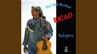 Olé Olé Manolo