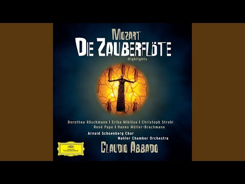 Mozart: Die Zauberflöte, K. 620, Act I: No. 5, Hm! hm! hm! hm!