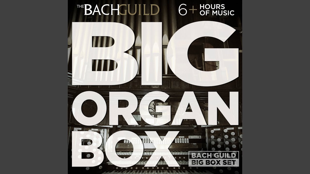 Johann Sebastian Bach: Concerto for solo organ No. 5 in D minor