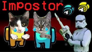 AMONG US y el robot con mis gatos Luna y Estrella CAP 2 El impostor / Videos de gatitos