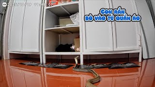 Đặt Camera Trong Nhà Chị Thơ Và Phát Hiện Sự Thật Kinh Hoàng