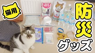 愛猫と避難するための防災グッズを用意してみたら買い過ぎたようです