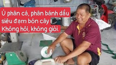 Có mẹ nào xài phân bánh dầu thủy phân