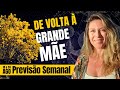 Previsão Semanal: 18 a 24/ago | Lua Nova e estreia da temporada virginiana