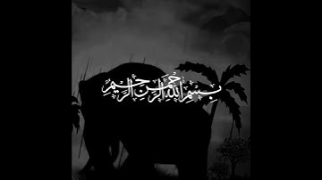 سوره الفیل  - پشتو ترجمه || رعد الكردی  ( Surah ul- Feel - pashto translation )
